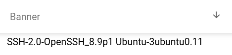 Portal_Informational_Findings_Ports_Banner.png