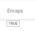 Portal_Informational_Findings_Ports_Encaps.png