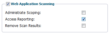 Web Application Scanning