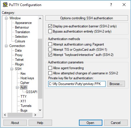 Options controlling SSH authentication