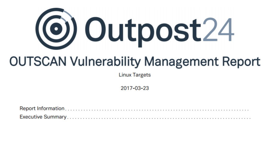 Vulnerability Management Report