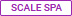 icon_asset_scale_spa.png