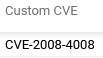 Portal_Findings_Custom_CVE.png