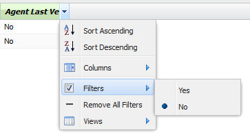 Columns_Agents_Filters.png